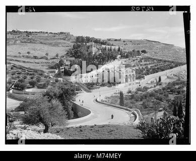 Garten Gethsemane & Pisten von Olivet mit neuen Straße LOC 12434 matpc. Stockfoto