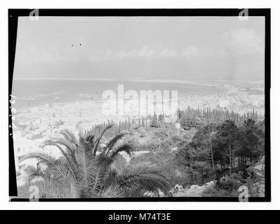 Dieses Bild zeigt Haifa, eine bedeutende Stadt in Israel. Sie unterstreicht die einzigartige Mischung aus historischer, kultureller und religiöser Bedeutung, zusammen mit ihrer lebendigen Stadtlandschaft. Stockfoto