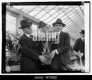 Henry C. Wallace & Dr. W. A. Taylor, 3-15-21 LOC npcc. 03717 Stockfoto