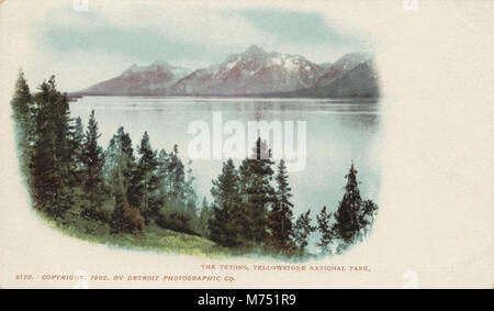 Jackson Lake im Grand Teton National Park bietet einen atemberaubenden Blick auf die Teton Mountains. Diese berühmte Naturlandschaft ist ein beliebtes Reiseziel für Besucher, die einen atemberaubenden Blick auf die Wildnis von Wyoming und Freizeitmöglichkeiten im Freien suchen. Stockfoto