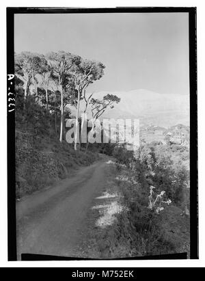 Jebel Sunnin & Beskinta Dorf. Die Straße am Eingang der Beskinta matpc 12701 Loc. Stockfoto