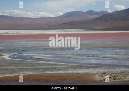 Laguna Colorada in Bolivien Stockfoto