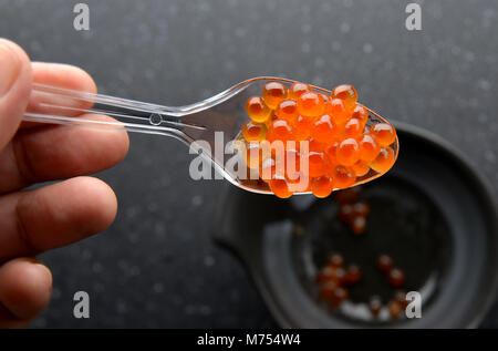 Lachs-Eiern oder Ikura in japanisches Sushi frisch aus rohen Salmond Fisch in Studiobeleuchtung. Stockfoto