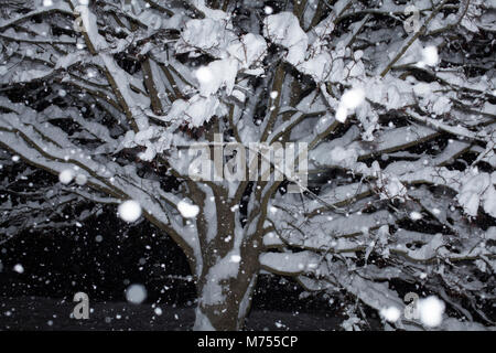 Nacht Szene bei einem schweren Schneesturm in Neu-England. Stockfoto