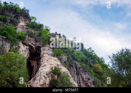 Fledermäuse fliegen aus dem Bat cave, in Battambang, Kambodscha Stockfoto