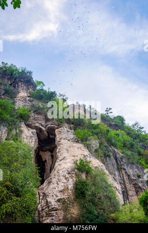 Fledermäuse fliegen aus dem Bat cave, in Battambang, Kambodscha Stockfoto