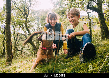 Little Boy und seine Großmutter Spielen mit Ihrem Hund im Wald mit einem Stock. Stockfoto