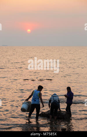 Kambodscha Krabben Fischen - Krabben Fischer bei der Kep, Kambodscha die Fischerei auf Krebse bei Sonnenuntergang, Kep, Kampot Province, Kambodscha Asien Stockfoto