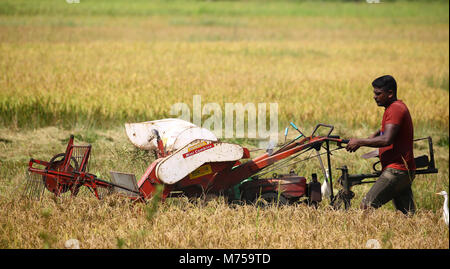 Kaduwela, Sri Lanka. 22 Feb, 2018. Ein Mähdrescher an der Reisfelder, während der Erntezeit in Colombo, Sri Lanka Februar 22, 2018 Credit: Pradeep Dambarage/Pacific Press/Alamy leben Nachrichten Stockfoto