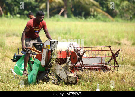 Kaduwela, Sri Lanka. 22 Feb, 2018. Ein Mähdrescher an der Reisfelder, während der Erntezeit in Colombo, Sri Lanka Februar 22, 2018 Credit: Pradeep Dambarage/Pacific Press/Alamy leben Nachrichten Stockfoto