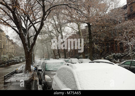 Schneebedeckte Autos parkten nach einem Schneesturm in Brooklyn, New York, auf einer von Bäumen gesäumten Straße. Stockfoto