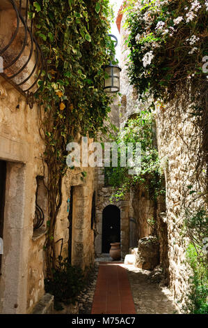 Schmalen alten Straßen von Eze mit Terracotta Dächer, charmante Laternen und grünen Reben. Stockfoto