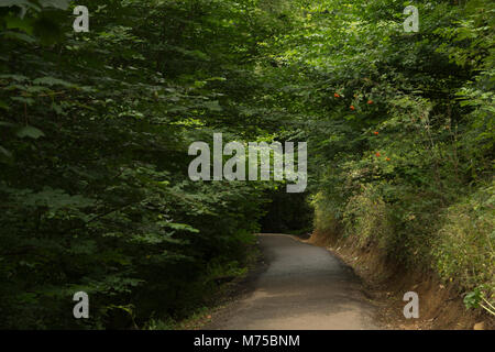 Stirling. Schottland. Stockfoto