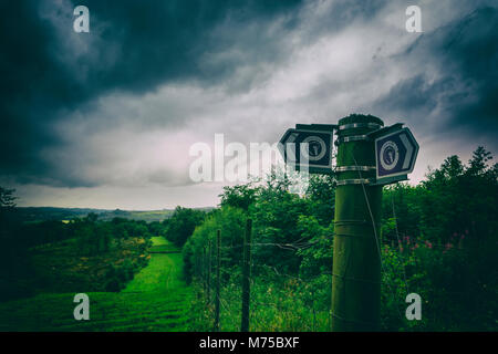 Antonine Wall (in der Nähe von Bar Hill Fort). 2 dn Jahrhundert. Twechar. Schottland Stockfoto