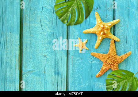 Sommer Meer Hintergrund. Seesterne und Palm auf Blau Holz- Hintergrund. Stockfoto