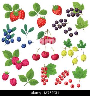 Satz von verschiedenen stilisierten frischen Beeren. Stock Vektor