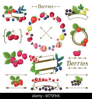 Einstellen der verschiedenen Bänder, Etiketten mit Beeren. Stock Vektor
