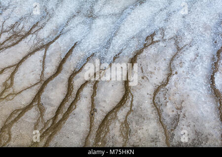 Wasser hält Bakterien leben in engen Kanäle, die als braune Streifen gesehen werden. Stockfoto