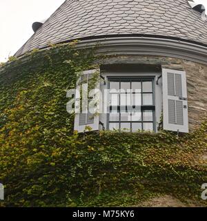 Milford, PA, USA: Efeu (Hedera helix) am grauen Türme (1886), der ehemaligen Heimat von Gifford Pinchot, erste Generalstabschef der US-Forstwirtschaft Service. Stockfoto