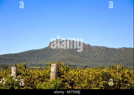 Weinberge und Berge in einem klaren blauen Himmel. Hunter Valley, News South Wales, Australien. Stockfoto