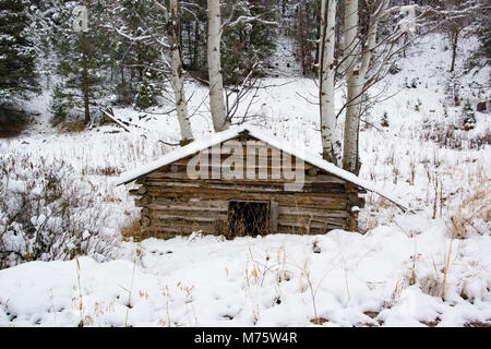 Eine verlassene's Miner Kabine in der Stadt Turm, östlich von Philipsburg, MT anmelden. Stockfoto