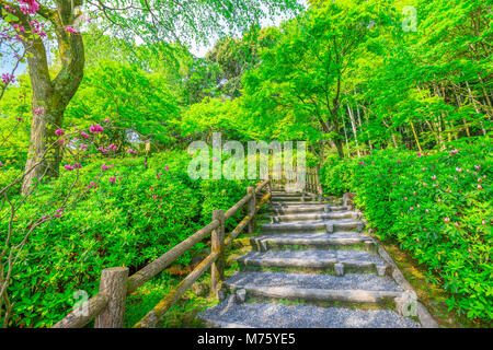 Die schönen japanischen Garten Tenryu-ji im Zen Tempel in Arashiyama, Kyoto, Japan. Frühling Saison. Garten Weg der Hundert Blumen oder Hyakka'en. Stockfoto