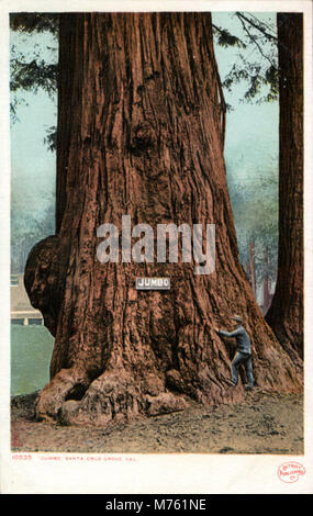 Ein historisches Foto von Jumbo, dem berühmten Elefanten, aufgenommen in Santa Cruz Grove. Jumbo war bekannt für seine enorme Größe und Popularität in der amerikanischen Unterhaltung des 19. Jahrhunderts. Stockfoto