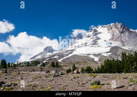 Blick auf Mt Hood mit einer Kappe bedeckt mit Schnee und Asche unten. Mt Hood National Forest, Oregon Stockfoto