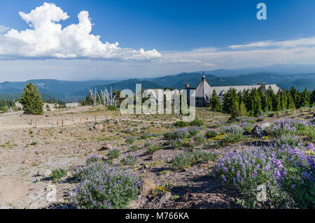 Timberline Lodge mit Wanderer auf die alpine Trail in der Nähe von Es. Mt Hood National Forest, Oregon Stockfoto