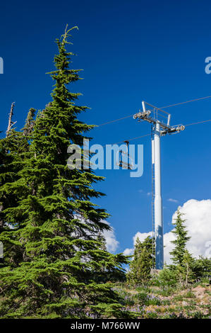 Skilift am Timberline Lodge und Ski Resort. Mt Hood National Forest, Oregon Stockfoto