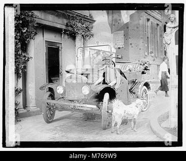 Miss Maud Jüngere, 12-16-20 LOC npcc. 03182 Stockfoto