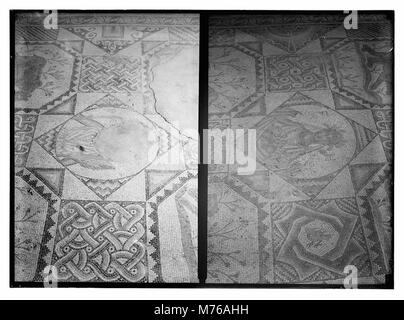 Ein Mosaikboden aus der antiken Stätte von Beit Jibrin, der komplexe Designs und bedeutende archäologische Werte von diesem historischen Ort in der Levante zeigt. Stockfoto