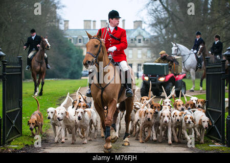 Foxhounds mit huntsman Einstellung von einem großen Landhaus mit drei anderen Jäger und ein Uhu mit der Handler auf einem Quad. Stockfoto