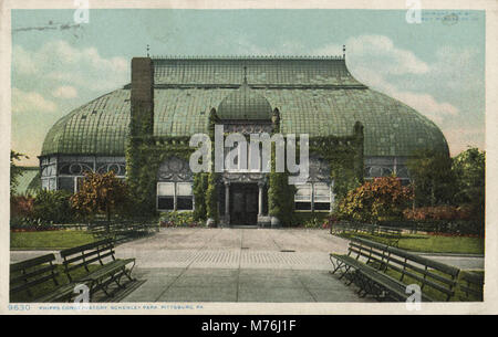 Das Phipps Conservatory im Schenley Park in Pittsburgh ist ein bekannter botanischer Garten. Der Wintergarten beherbergt eine Vielzahl von Pflanzen und Blumen und bietet Besuchern eine ruhige Umgebung. Stockfoto