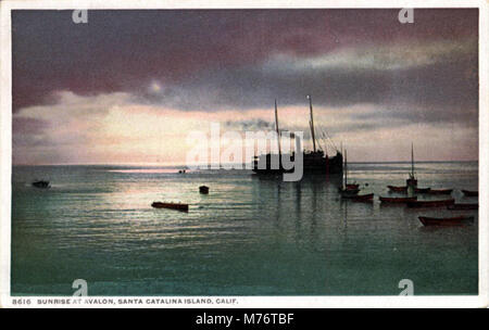 Ein ruhiger Blick auf den Sonnenaufgang in Avalon, Santa Catalina Island, Kalifornien. Das Foto fängt die natürliche Schönheit und Ruhe der Insel ein und zeigt die Küstenlandschaft und das Wasser. Stockfoto