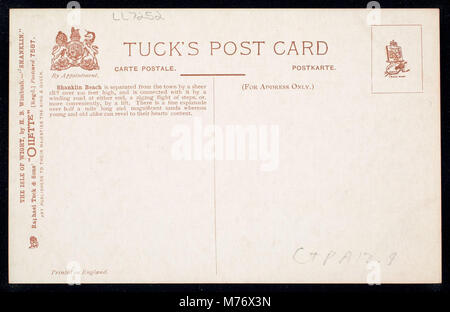 Ein malerisches Foto von Shanklin Beach auf der Isle of Wight, das die Sandküste, den Meerblick und die ruhige Atmosphäre einfängt, ein beliebter Ort für Entspannung und Aktivitäten am Meer. Stockfoto