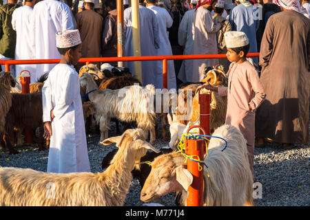 Szene auf der Nizwa Ziege Markt, Nizwa, Sultanat Oman Stockfoto