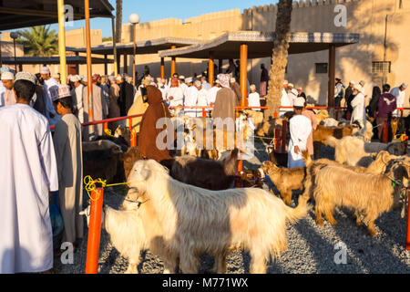 Szene auf der Nizwa Ziege Markt, Nizwa, Sultanat Oman Stockfoto