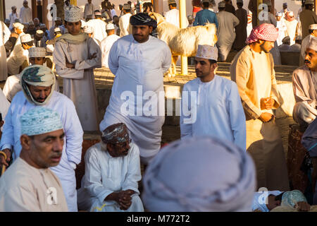 Szene auf der Nizwa Ziege Markt, Nizwa, Sultanat Oman Stockfoto