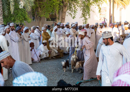 Szene auf der Nizwa Ziege Markt, Nizwa, Sultanat Oman Stockfoto