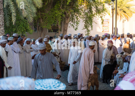 Szene auf der Nizwa Ziege Markt, Nizwa, Sultanat Oman Stockfoto