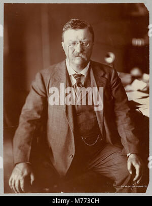 Theodore Roosevelt, drei viertel länge Porträt, sitzen, nach vorne LCCN 2001697270 Stockfoto