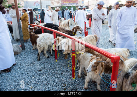 Szene auf der Nizwa Ziege Markt, Nizwa, Sultanat Oman Stockfoto