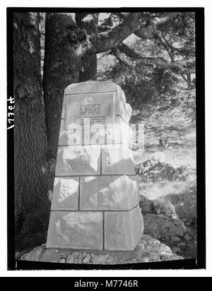 Ein Foto, das den berühmten Zedernhain des Libanon in der Nähe von Tripolis zeigt, mit einem Denkmal, das den Skieinheiten der Kaiserlichen Armee von 1941 bis 1944 gewidmet ist. Stockfoto