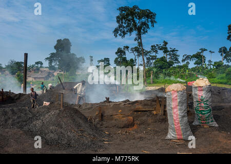Die Kohleförderung aus Holz (Holzkohle), Libongo, tief im Dschungel, Kamerun, Afrika Stockfoto