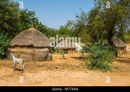Traditionelle Hütten im Nationalmuseum, Niamey, Niger, Afrika Stockfoto