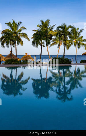 Reflexionen von Palmen in den Pool im Sugar Beach, St. Lucia, Windward Islands, West Indies, Karibik, Zentral- und Lateinamerika
