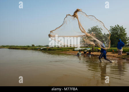 Fischer wirft seine Fischernetz in den Fluss Niger, Niamey, Niger, Afrika Stockfoto