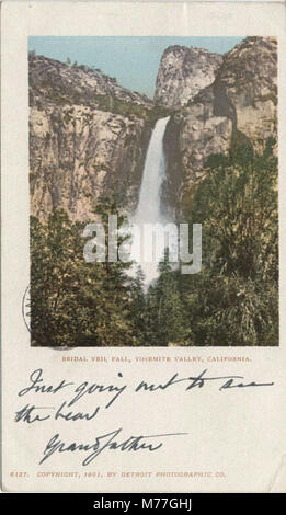 Dieses Bild zeigt den Bridal Veil Fall im Yosemite Valley, Kalifornien. Bekannt für seine Schönheit, ist er einer der berühmtesten Wasserfälle im Park und ein beliebtes Naturdenkmal. Stockfoto