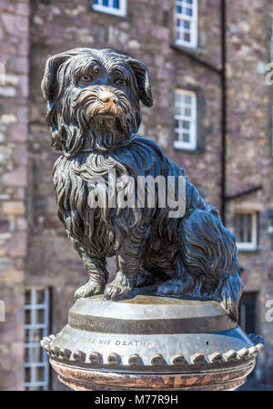 Greyfriars Bobby Memorial Statue, Candlemakers Reihe, Altstadt von Edinburgh, Edinburgh, Midlothian, Schottland, Großbritannien, Europa Stockfoto